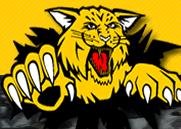 Cullman High Bearcats