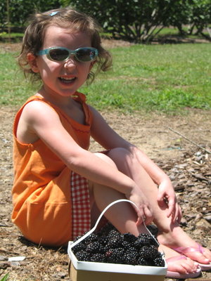 Marilyn Wells' granddaughter Ashley picking blackberries